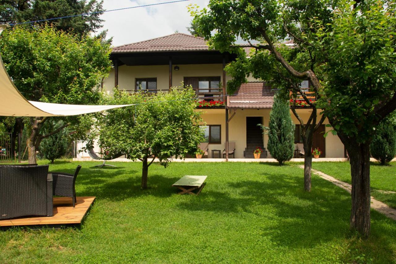 Pension Andra'S House Horezu Exteriér fotografie