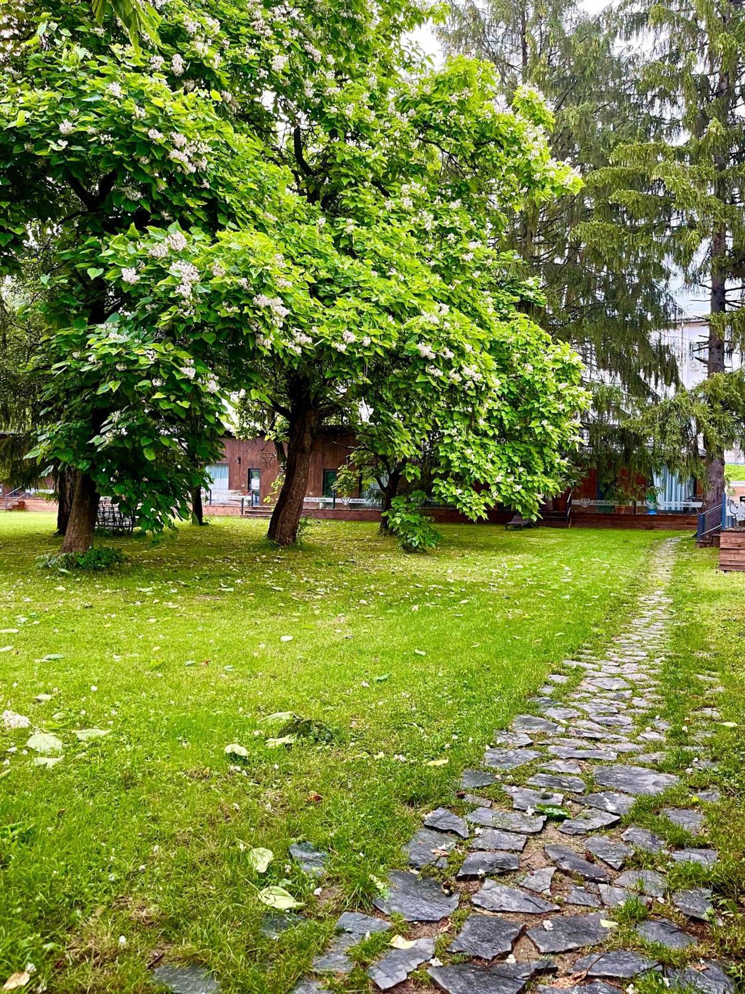 Pension Andra'S House Horezu Exteriér fotografie
